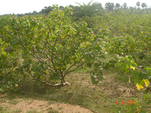 work Image