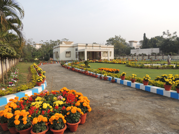 work Image